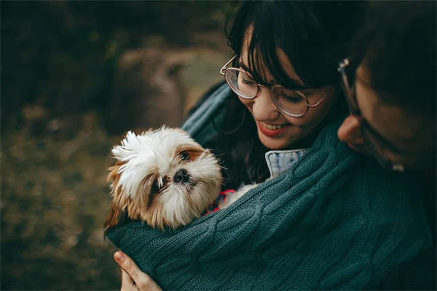 子猫の歯が抜ける時期と大人猫の歯の健康管理